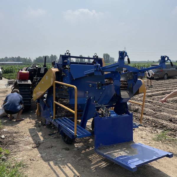 Field rear view — digging and bagging setup