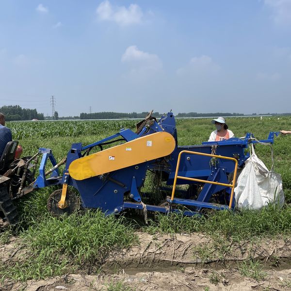 Field operation — bulk-bag collection in crop row