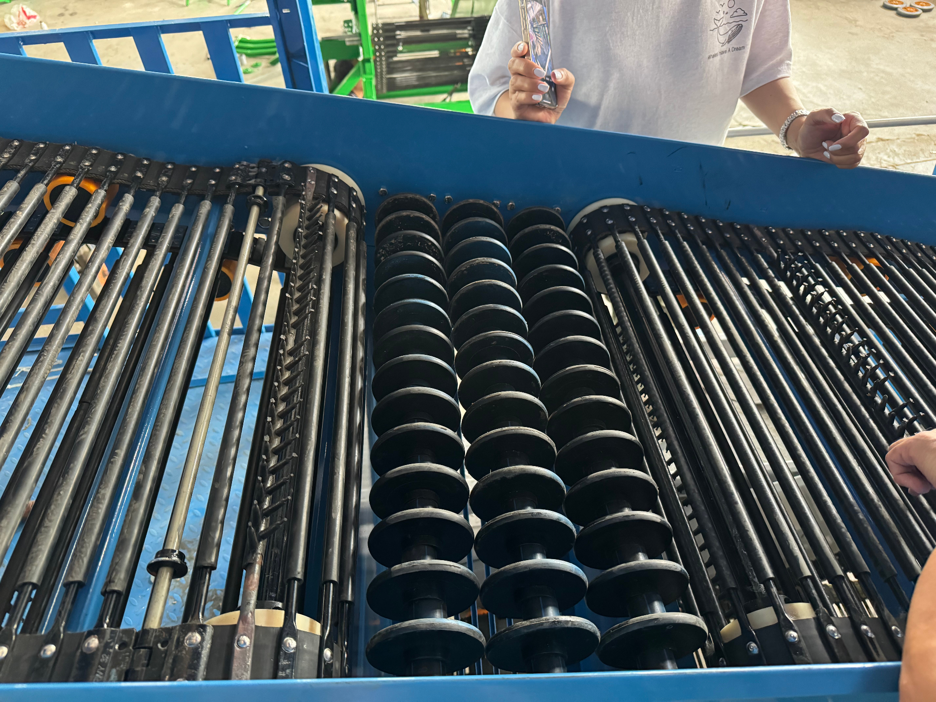 Conveyor close-up — chain bars, star wheels and grading section