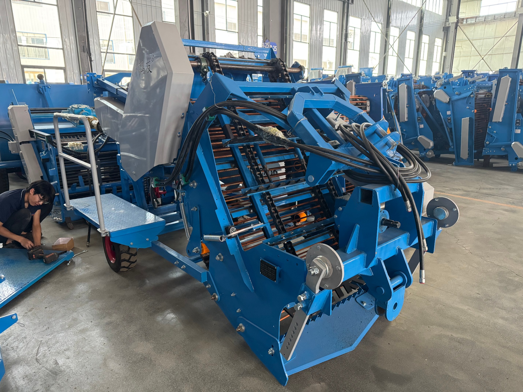 Detail view — chain bars, depth wheel and hydraulic lines